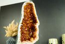 Rare Citrine Geode Cathedral with AAA Dark Citrine Druzy and Flower Rosette Stalactites