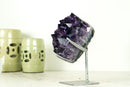 Small AAA Grade Amethyst Cluster with Large, Dark Purple Druzy Points, Natural
