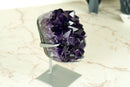 Small AAA Grade Amethyst Cluster with Large, Dark Purple Druzy Points, Natural
