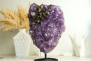 Rare Amethyst Cluster with Black Sugar Coated Druzy and Deep Purple Amethyst, Natural & Ethical 3.1 Kg - 6.8 lb - E2D Crystals & Minerals