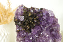Rare Amethyst Cluster with Black Sugar Coated Druzy and Deep Purple Amethyst, Natural & Ethical 3.1 Kg - 6.8 lb - E2D Crystals & Minerals