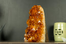 Citrine Crystal Cluster with Display Points of Rich Orange Citrine Druzy