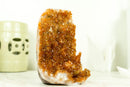 Rare Small Citrine Cluster with Stalactite Flowers and Orange Madeira Galaxy Druzy