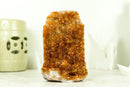 Rare Small Citrine Cluster with Stalactite Flowers and Orange Madeira Galaxy Druzy