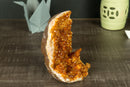 Rare Small Citrine Cluster with Stalactite Flowers and Orange Madeira Galaxy Druzy