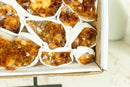 Wholesale Super Extra Quality Madeira Citrine Clusters Flat Box - Mineral Flat, Wholesale Bulk