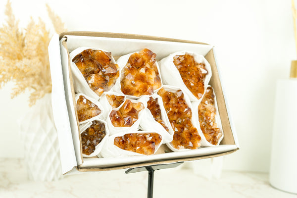 Wholesale AAA Deep Orange Citrine Clusters Flat Box - Mineral Flat, Wholesale Bulk - 11 Clusters, 1.5 Kg - 3.4 lb - E2D Crystals & Minerals