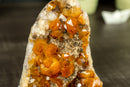 Kleiner AAA-Citrin-Cluster mit Madeira-Citrin-Drusen und Goethit-Einschlüssen, freistehend