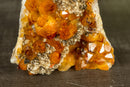 Kleiner AAA-Citrin-Cluster mit Madeira-Citrin-Drusen und Goethit-Einschlüssen, freistehend