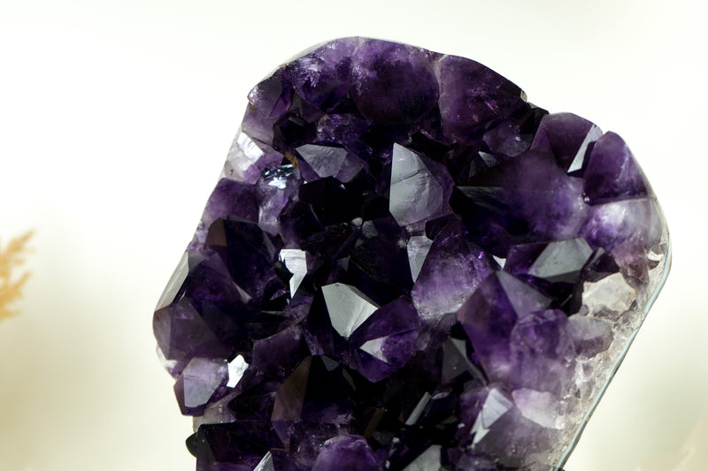 Amethyst Cluster with AAA X-Large Dark Purple Amethyst