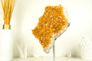 Citrine Crystal with Shiny Golden Yellow Citrine Druzy on Display
