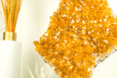 Citrine Crystal with Shiny Golden Yellow Citrine Druzy on Display