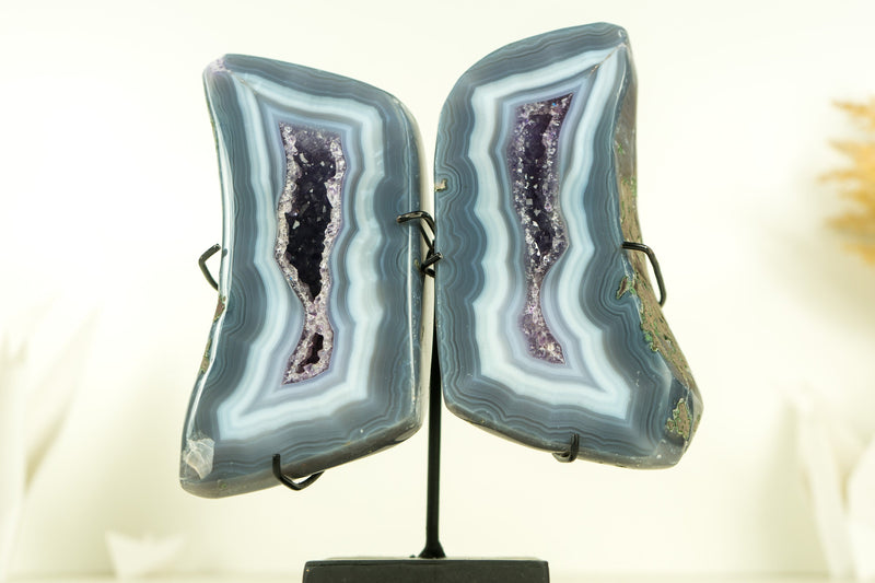Small Polished Blue Lace Agate Geode Wings with Purple Amethyst and Landscaped Back, On Stand -
