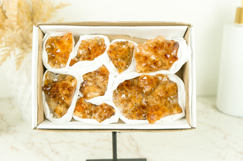 Set of 8 Citrine Clusters of Super Extra Grade, Wholesale Flat Box, Small, Deep Orange Citrine Druzy, 1230g - 2.7 lb - E2D Crystals & Minerals