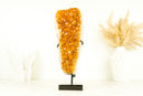 Gorgeous Small High-Grade Golden Yellow Citrine Cluster with Sparkly Citrine Druzy - 1.6 Kg - 3.5 lb - E2D Crystals & Minerals