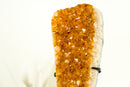 Gorgeous Small High-Grade Golden Yellow Citrine Cluster with Sparkly Citrine Druzy - 1.6 Kg - 3.5 lb - E2D Crystals & Minerals