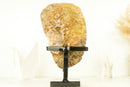 Gorgeous High-Grade Golden Yellow Citrine Cluster with Flower Like Formation - 11.0 In - 10.9 Lb - E2D Crystals & Minerals