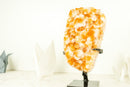 Gorgeous High-Grade Golden Yellow Citrine Cluster with Flower Like Formation - 11.0 In - 10.9 Lb - E2D Crystals & Minerals