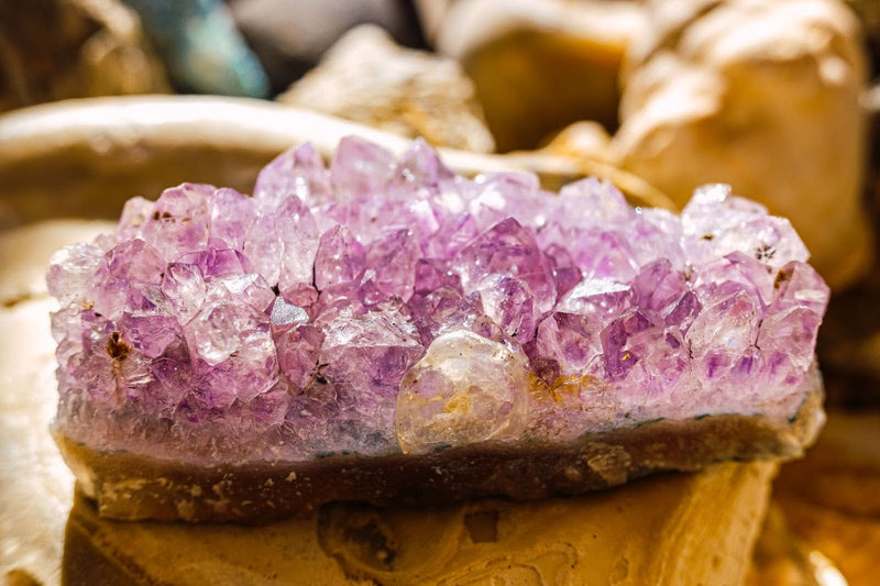 Feel the Beauty and Energy of Pink Amethyst Geode Crystals - E2D Crystals & Minerals