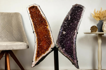 Butterfly-Geodes-Angel-Wing-Geodes-For-Sale