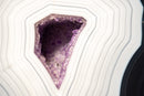Rare Dark Blue & White Lace Agate Geode with Striped Laces and Purple Druzy Interior - E2D Crystals & Minerals