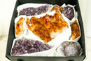 Mixed Citrine and Citrine Amethyst Flat Box, AAA-Grade Only and Rare Crystals