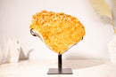 Golden Yellow Citrine Cluster with Small Natural Stalactites and Sparkly Druzy, on Stand - 4.1 Kg - 9 lb - E2D Crystals & Minerals