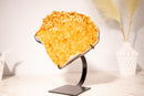 Golden Yellow Citrine Cluster with Small Natural Stalactites and Sparkly Druzy, on Stand - 4.1 Kg - 9 lb - E2D Crystals & Minerals