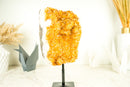 Golden Yellow Galaxy Citrine Cluster with Flower Rosettes (Stalactite) - E2D Crystals & Minerals