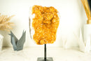 Golden Yellow Galaxy Citrine Cluster with Flower Rosettes (Stalactite) - E2D Crystals & Minerals