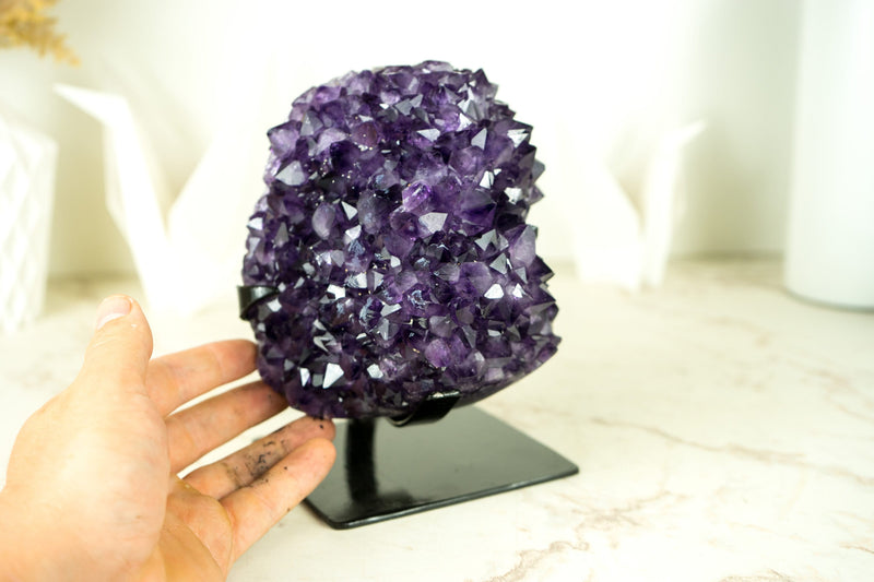 AAA-Grade Amethyst Flower with Grape Jelly Purple and Polished Back