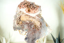 Rare AAA-Grade Pink Amethyst Geode with Pink, Red, and Purple Sugar-Druzy Stalactites