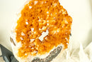 Rare Citrine Geode Portal with AAA-Grade Vibrant Golden Orange Citrine Crown - E2D Crystals & Minerals