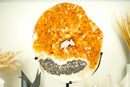 Rare Citrine Geode Portal with AAA-Grade Vibrant Golden Orange Citrine Crown - E2D Crystals & Minerals