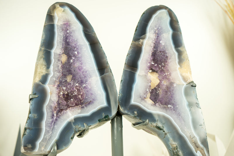 Lace Agate Angel Wings Geode with Blue and White Banded Agate