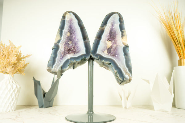 Lace Agate Angel Wings Geode with Blue and White Banded Agate