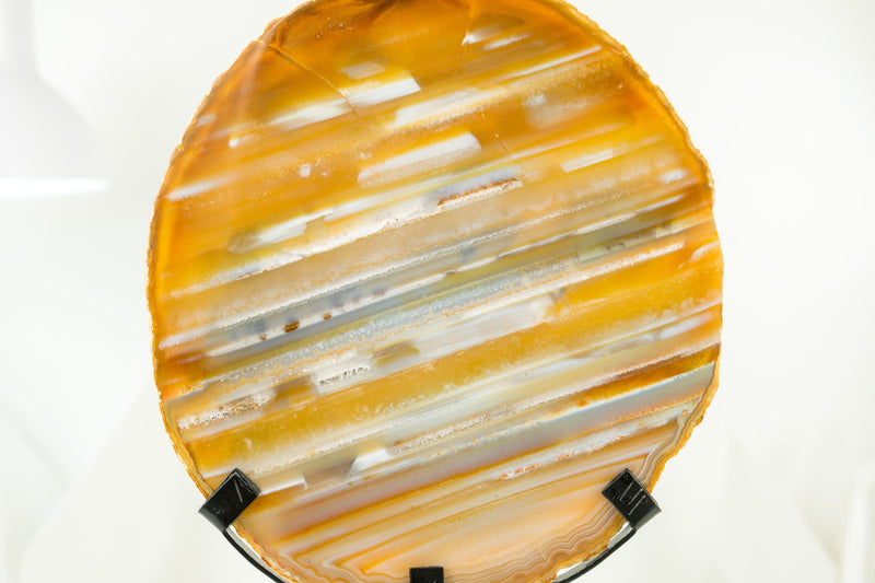 Rare Bahia Agate Slice with Layered Horizontal Water-Line of Natural Yellow, Blue and White Colors