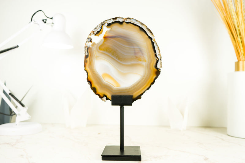 Natural Golden Lace Agate Slice with Swirl Paintings and Black Lace