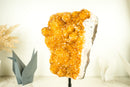 Golden Yellow Galaxy Citrine Cluster with Flower Rosettes (Stalactite) - E2D Crystals & Minerals