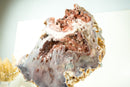 AAA-Grade Pink Amethyst Geode with Pink and Red Sugar-Druzy Stalactites - E2D Crystals & Minerals