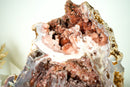 AAA-Grade Pink Amethyst Geode with Pink and Red Sugar-Druzy Stalactites - E2D Crystals & Minerals
