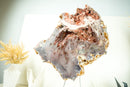 AAA-Grade Pink Amethyst Geode with Pink and Red Sugar-Druzy Stalactites - E2D Crystals & Minerals