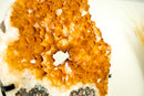 Rare Citrine Geode Portal with AAA-Grade Vibrant Golden Orange Citrine Crown - E2D Crystals & Minerals