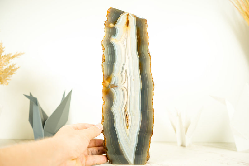 Lace Agate Geode with rare Lace Agate Colors, AKA Banded Agate