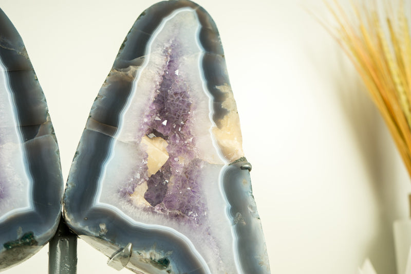 Lace Agate Angel Wings Geode with Blue and White Banded Agate