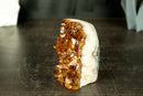 Small Natural Hgh-Grade Citrine Cluster with Sparkly Madeira Citrine Druzy - E2D Crystals & Minerals