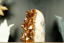 Small Natural Hgh-Grade Citrine Cluster with Sparkly Madeira Citrine Druzy - E2D Crystals & Minerals