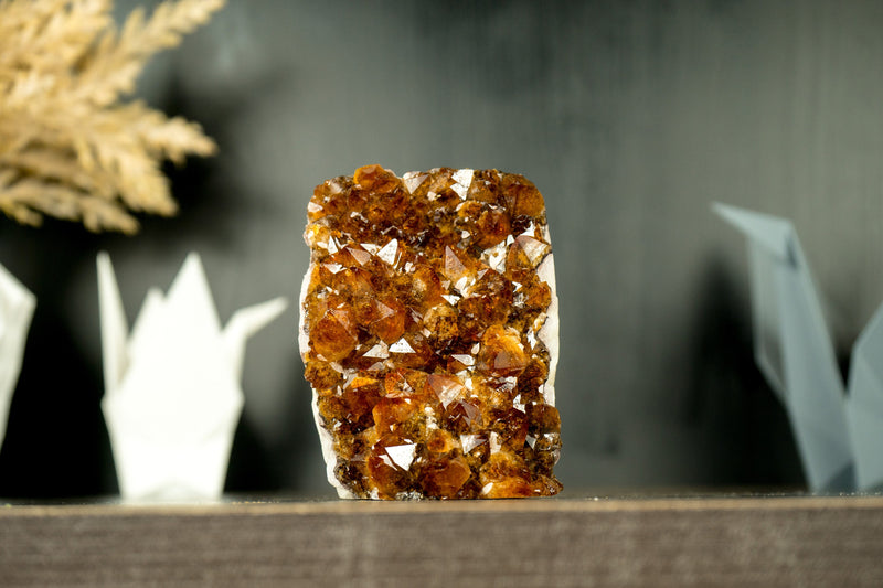 Small Natural Hgh-Grade Citrine Cluster with Sparkly Madeira Citrine Druzy - E2D Crystals & Minerals