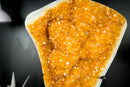 Goldener orangefarbener Galaxy-Citrin-Cluster mit glänzendem Citrin-Kristall-Drusen und Blütenrosetten – 16,5 Zoll – 13,1 Pfund