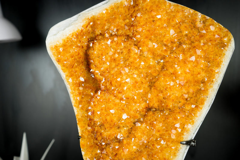 Golden Orange Galaxy Citrine Cluster with Shiny Citrine Crystal Druzy and Flower Rosettes - 16.5 In - 13.1 Lb